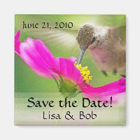 Blume Hummingbird speichert das Datumsfenster
