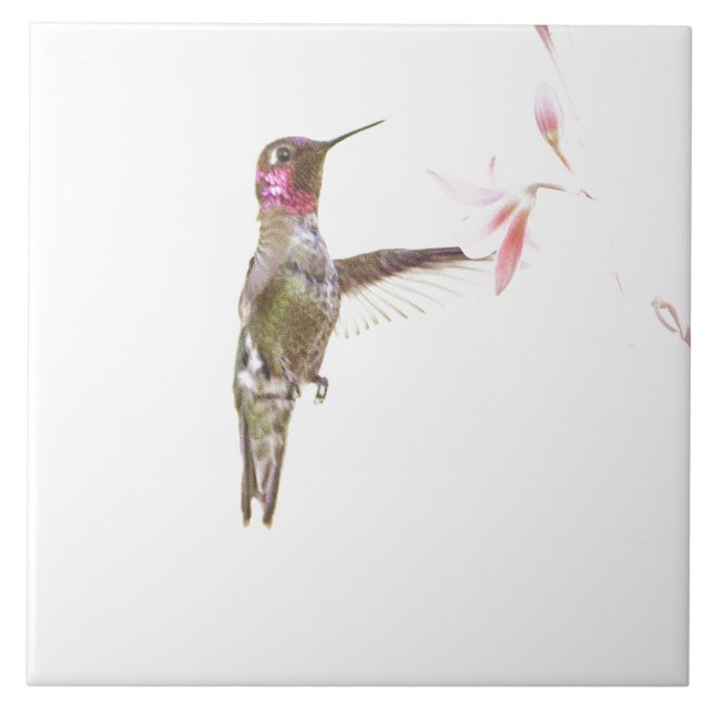 Blume Hummingvogel und Single Fliese (Vorderseite)