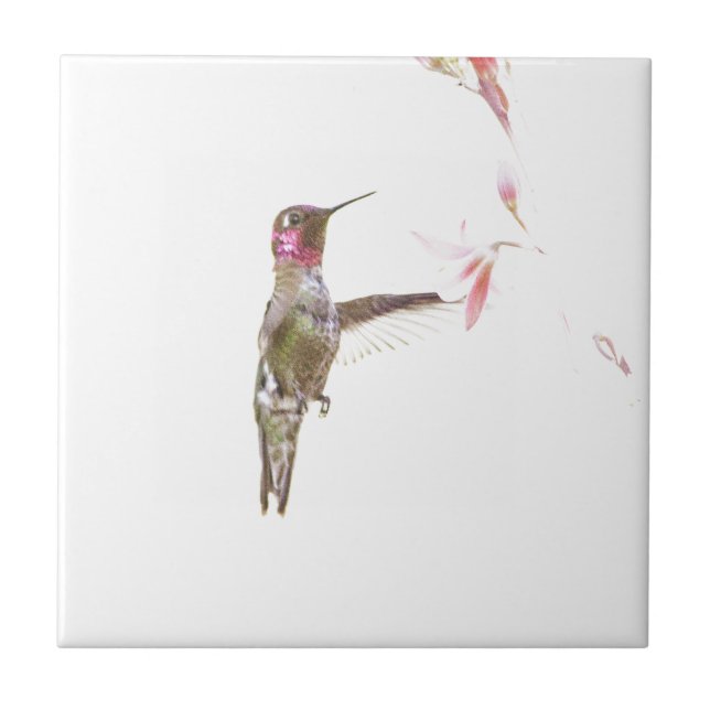 Blume Hummingvogel und Single Fliese (Vorderseite)
