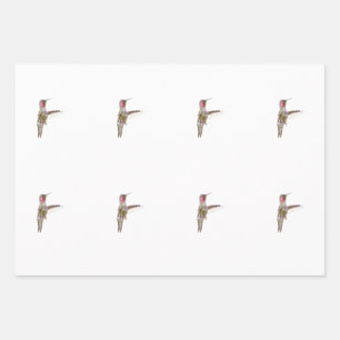 Blume Hummingvogel und Single Geschenkpapier Set