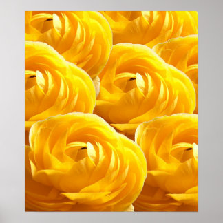 BLUME I POSTER