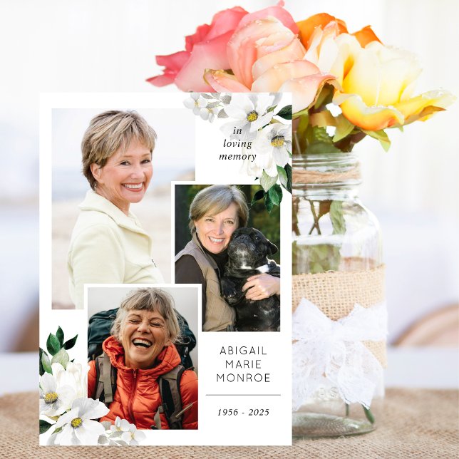 Blume im Bereich Galerie Programm (Von Creator hochgeladen)