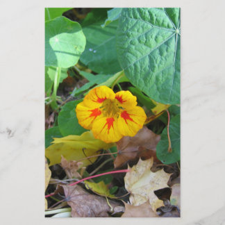 Blume im Blätter Briefpapier