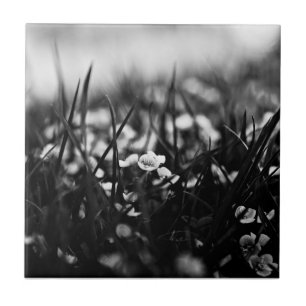 Blume im Frühjahr Fliese