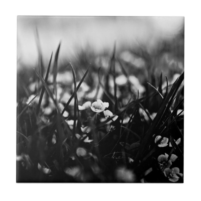Blume im Frühjahr Fliese (Vorderseite)