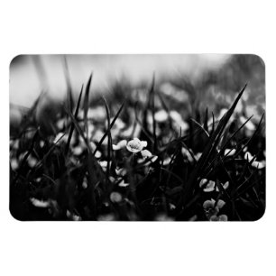 Blume im Frühjahr Magnet