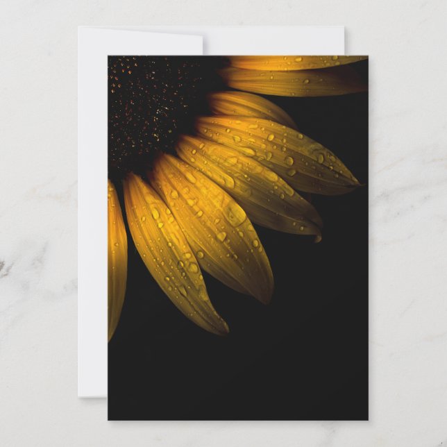 Blume im Garten 28 Sonnenblumen (Vorderseite)