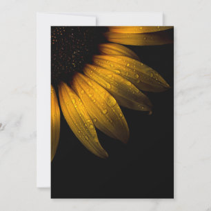 Blume im Garten 28 Sonnenblumen