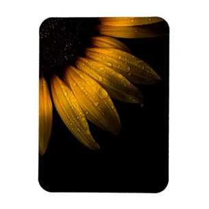 Blume im Garten 28 Sonnenblumen Magnet