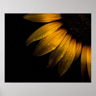 Blume im Garten 28 Sonnenblumen Poster