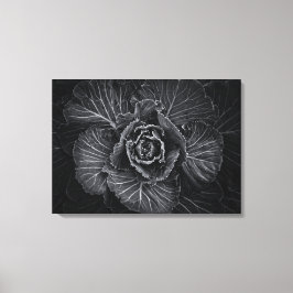 Blume im Garten in Schwarz und Weiß Nr. 108 Leinwanddruck