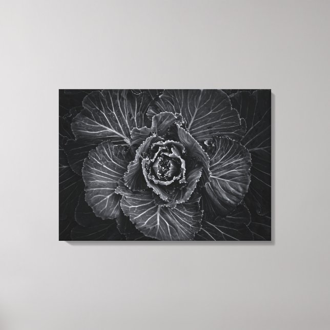 Blume im Garten in Schwarz und Weiß Nr. 108 Leinwanddruck (Vorderseite)