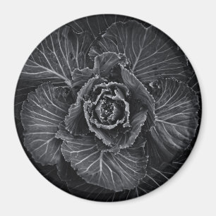 Blume im Garten in Schwarz und Weiß Nr. 108 Magnet