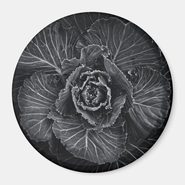 Blume im Garten in Schwarz und Weiß Nr. 108 Magnet (Vorne)