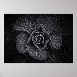 Blume im Garten in Schwarz und Weiß Nr. 108 Poster
