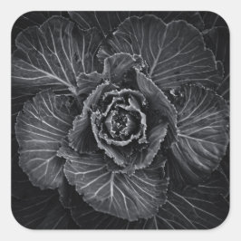 Blume im Garten in Schwarz und Weiß Nr. 108 Quadratischer Aufkleber