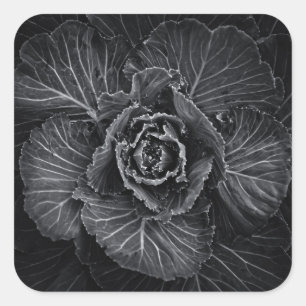 Blume im Garten in Schwarz und Weiß Nr. 108 Quadratischer Aufkleber