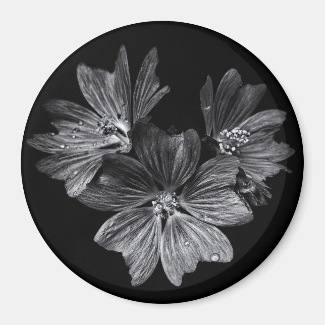 Blume im Garten in Schwarz und Weiß Nr. 11 Magnet (Vorne)