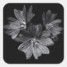 Blume im Garten in Schwarz und Weiß Nr. 11 Quadratischer Aufkleber