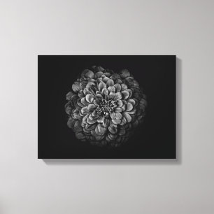 Blume im Garten in Schwarz und Weiß Nr. 54 Leinwanddruck