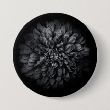 Blume im Garten in Schwarz und Weiß Nr. 68