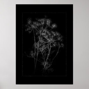 Blume im Garten in Schwarz und Weiß Nr. 87, Grenze Poster