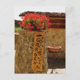 Blume im Garten, Monteriggioni, Siena Postkarte