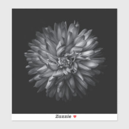 Blume im Hintergrund in Schwarz und Weiß 20 Aufkleber