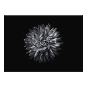 Blume im Hintergrund in Schwarz und Weiß 20 Fotodruck