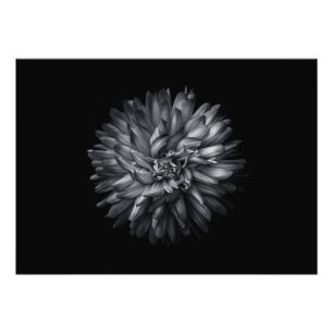 Blume im Hintergrund in Schwarz und Weiß 20 Fotodruck