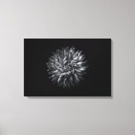 Blume im Hintergrund in Schwarz und Weiß 20 Leinwanddruck