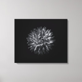Blume im Hintergrund in Schwarz und Weiß 20 Leinwanddruck