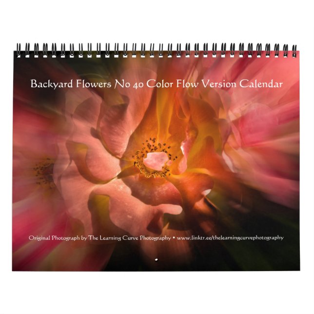 Blume im Hintergrund Nr. 40 Farbflussversion Kalender (Titelbild)