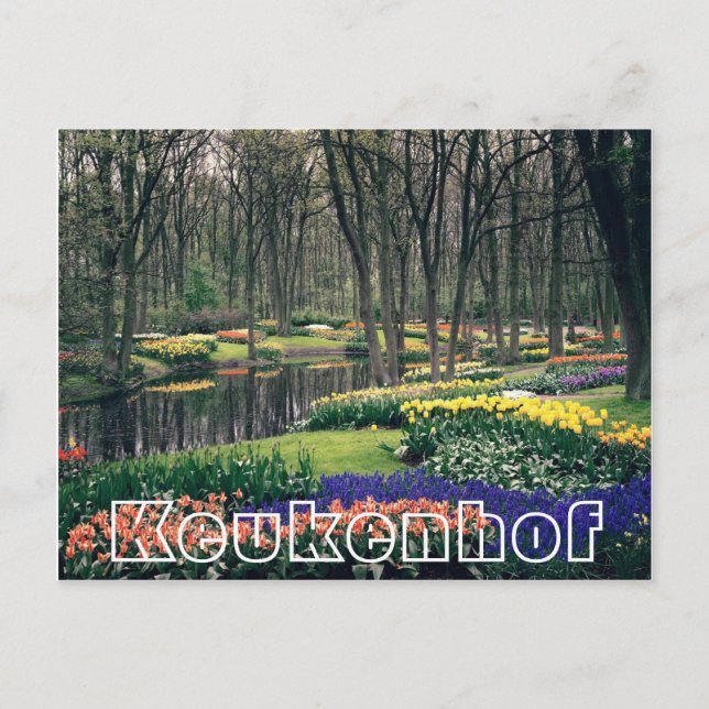 Blume im Keukenhof, Wald und Kanal Postkarte (Vorderseite)