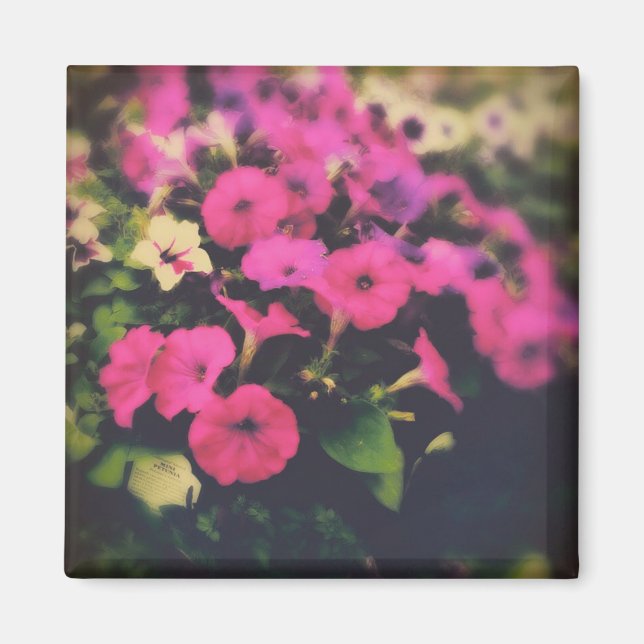 Blume im Lebensmittelgeschäft Magnet (Vorne)