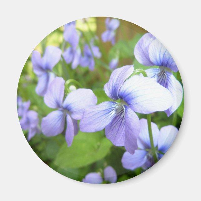 Blume im lila Garten Magnet (Vorne)