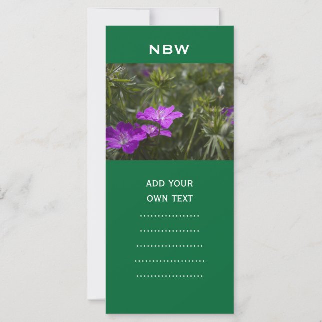 Blume im lila Sommergarten (Vorderseite)