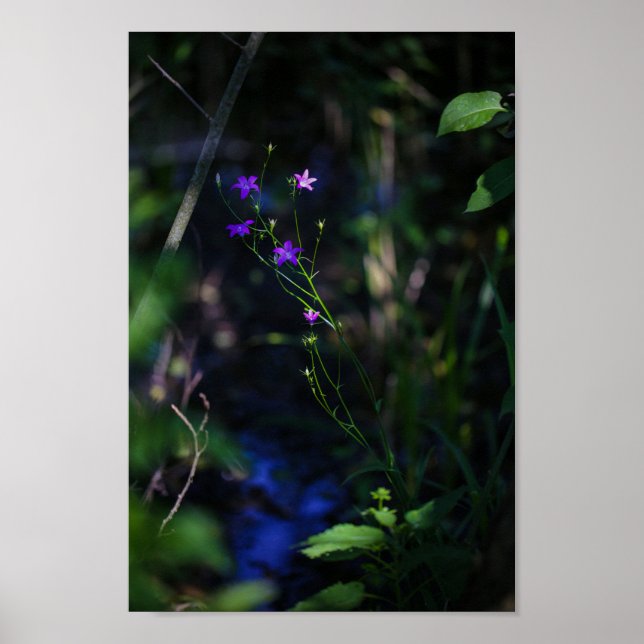 Blume im Lila Wasserwald Fern Poster (Vorne)