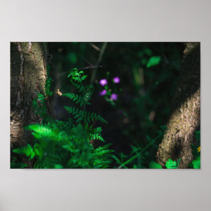 Blume im Lila Wasserwald Fern Poster