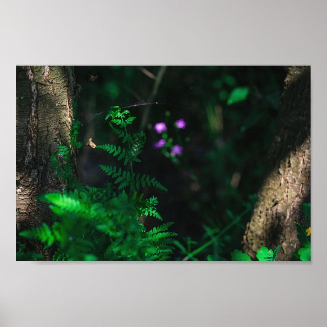 Blume im Lila Wasserwald Fern Poster (Vorne)