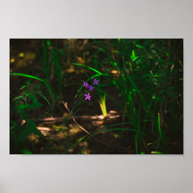 Blume im Lila Wasserwald Fern Poster (Vorne)