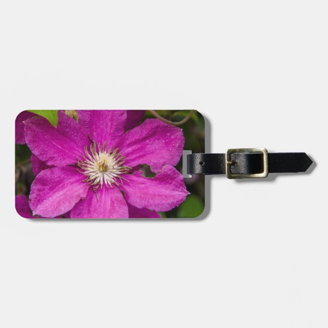Blume im Robinette's Apple Haus & Geschenkladen Gepäckanhänger (Vorderseite horizontal)