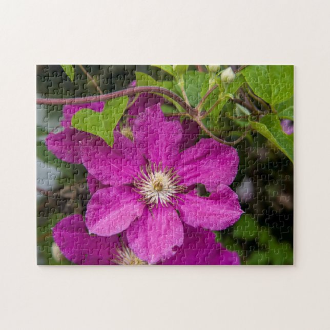 Blume im Robinette's Apple Haus & Geschenkladen Puzzle (Horizontal)