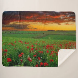 BLUME IM SUNSET SHERPADECKE