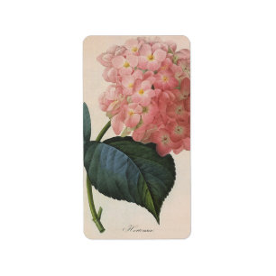 Blume im Vintagen Garten, Pink Hydrangea Hortensia Adressaufkleber