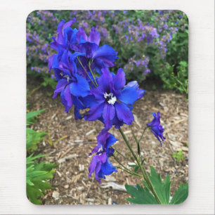 Blume im Weingut Chateau Morrisette, Floyd, VA Mousepad