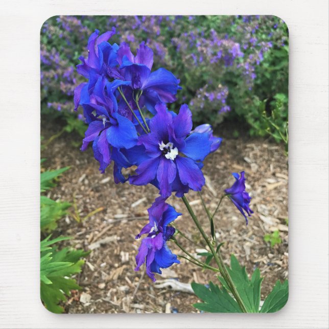 Blume im Weingut Chateau Morrisette, Floyd, VA Mousepad (Vorne)