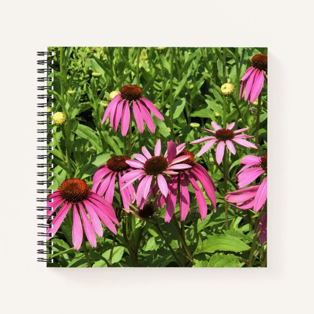 Blume im Weingut Chateau Morrisette, Floyd, VA Notizbuch (Vorderseite)