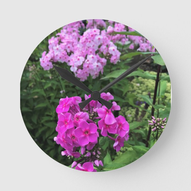 Blume im Weingut Chateau Morrisette, Floyd, VA Runde Wanduhr (Vorderseite)