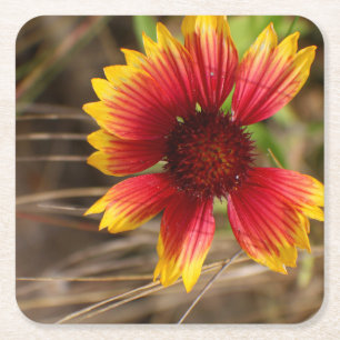 Blume im Wind Rechteckiger Pappuntersetzer